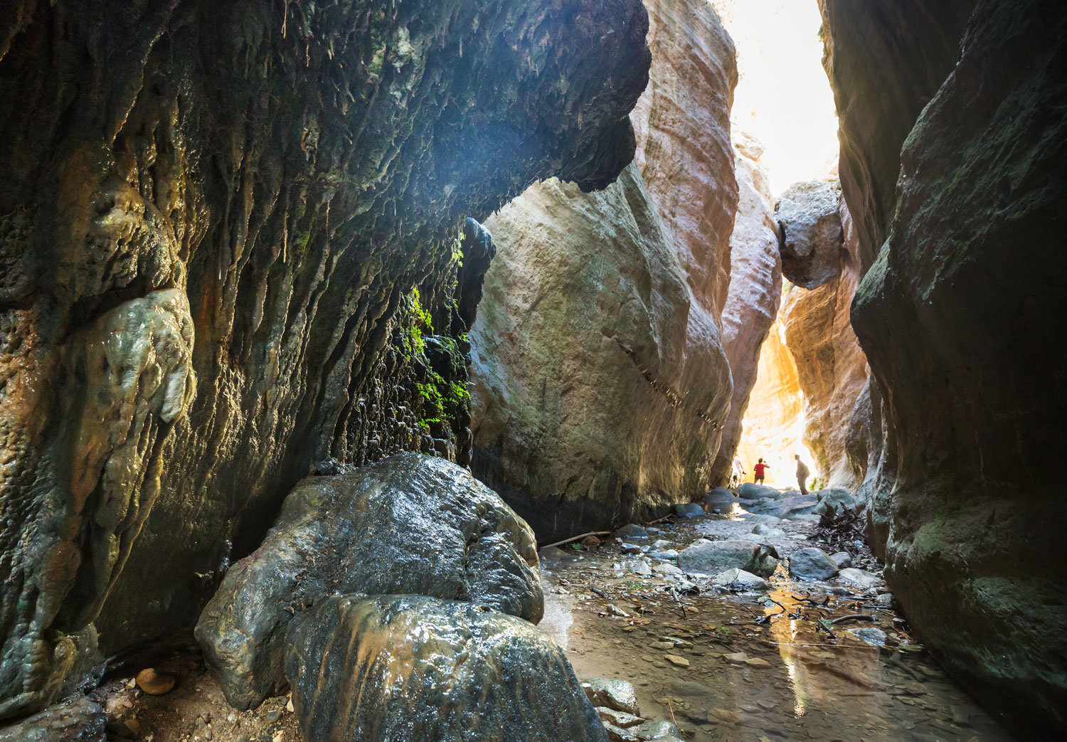 Dramatic limestone walls of Avakas Gorge near Paphos, a hidden natural wonder