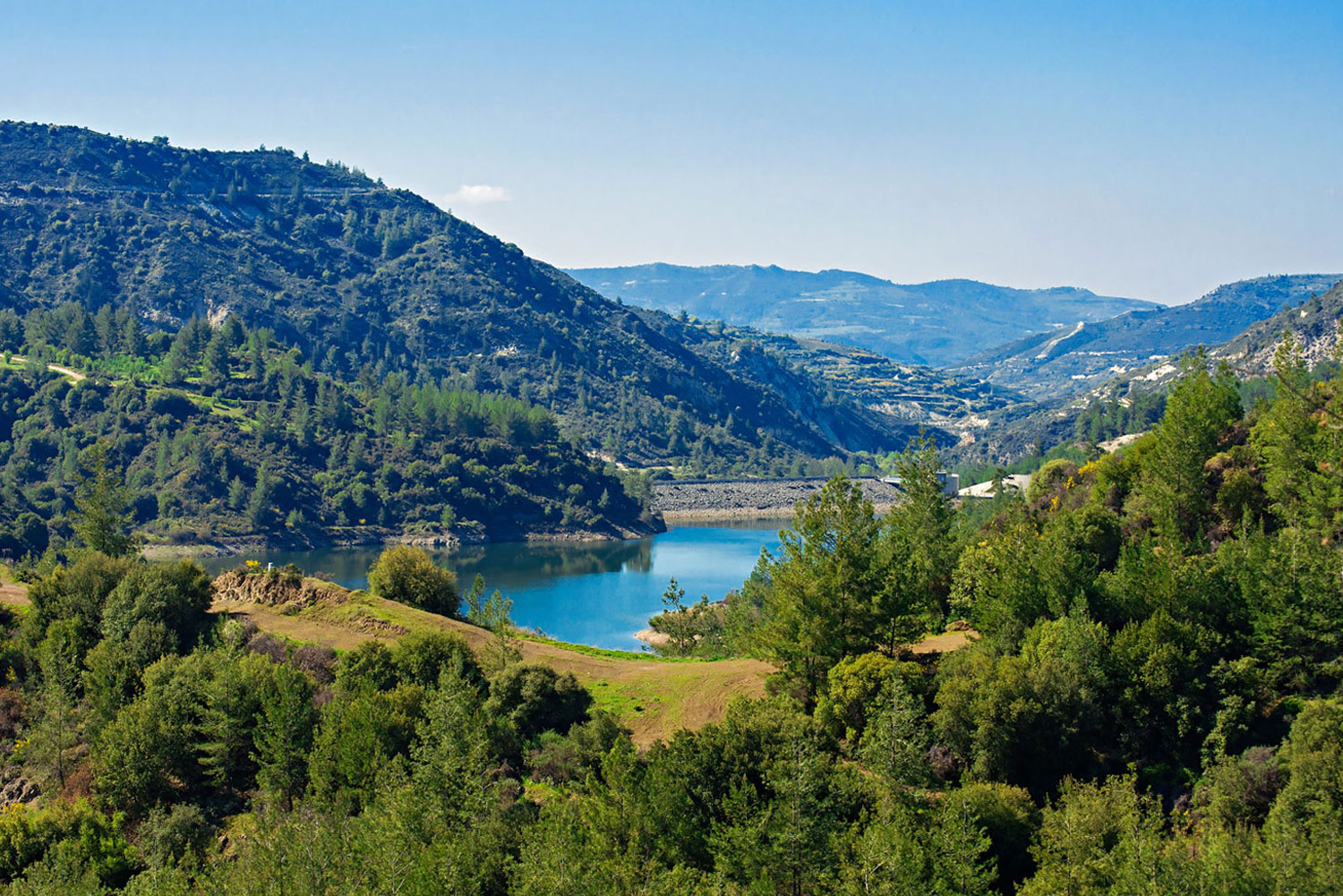 Pine forests and winding roads in Troodos Mountains, Cyprus perfect for scenic drives